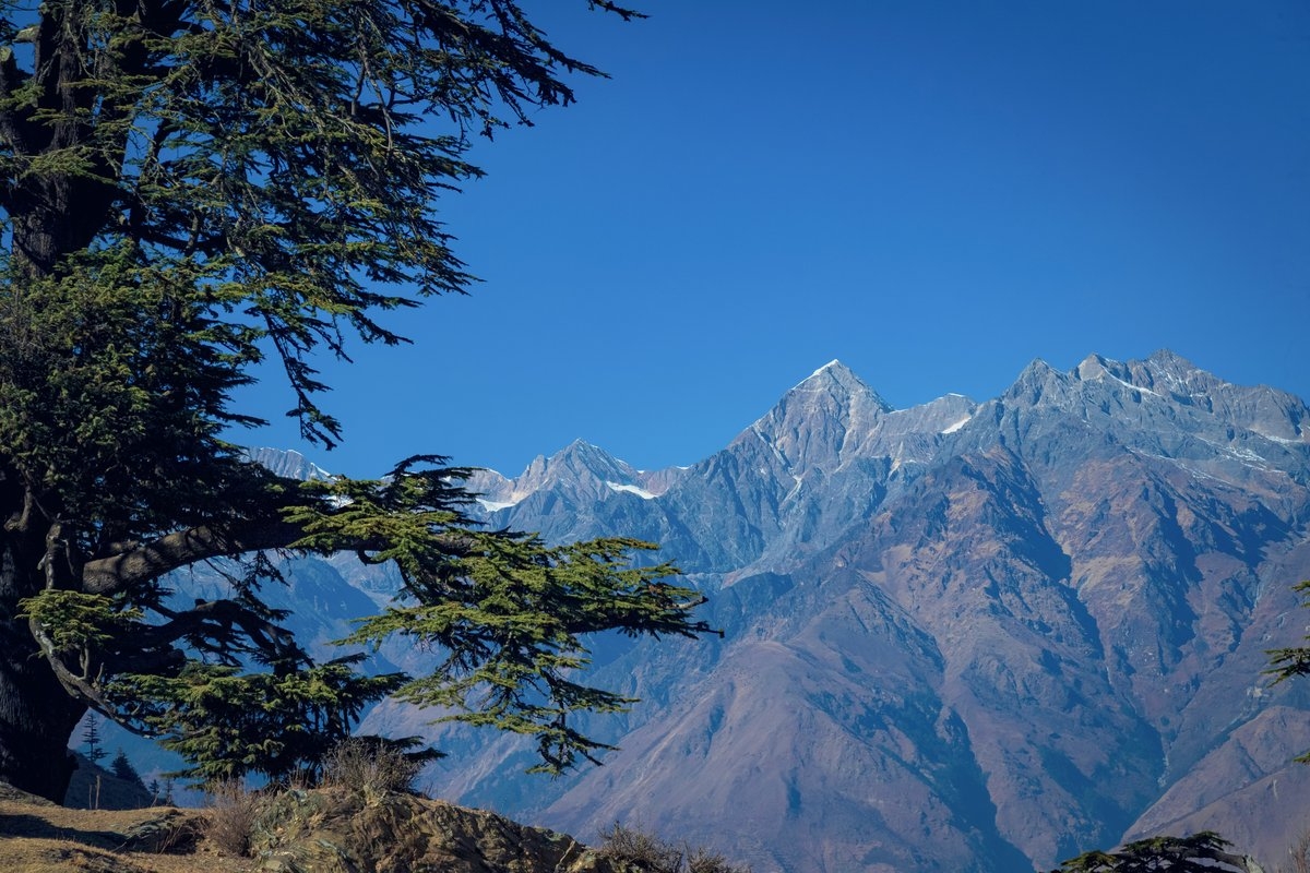 blog cover image